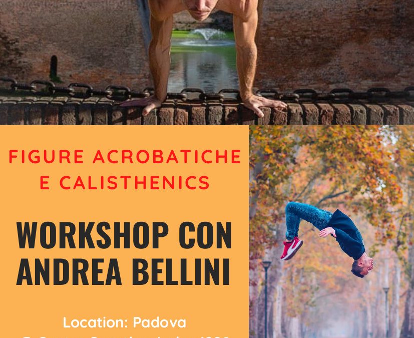 Workshop con Andrea Bellini
